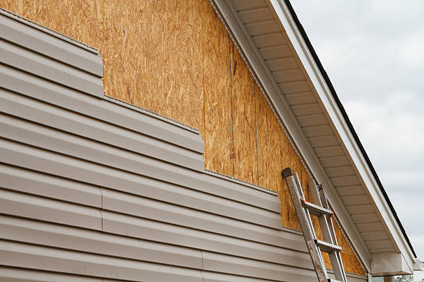 Professional Siding technician working in Jamestown, CO